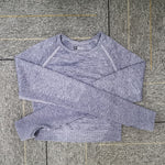 Load image into Gallery viewer, Seamless Yoga Top Long Sleeve Workout Tops for Women Fitness Vital Gym Crop Top Athletic Gym Shirt Women Sportswear Short Active
